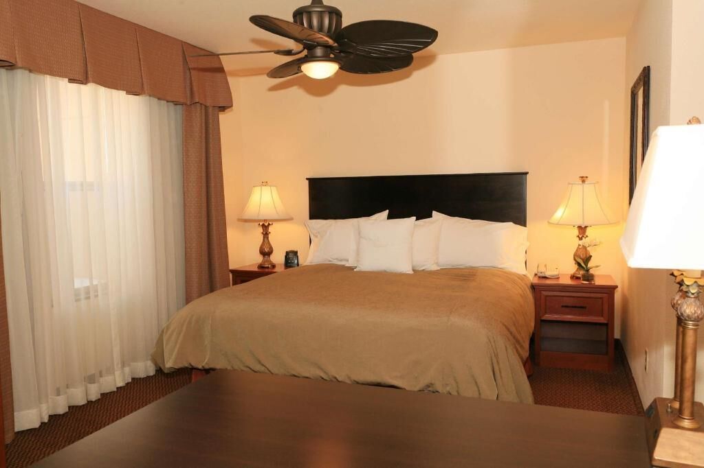 Ropa de cama de alta calidad, escritorio y cortinas blackout 