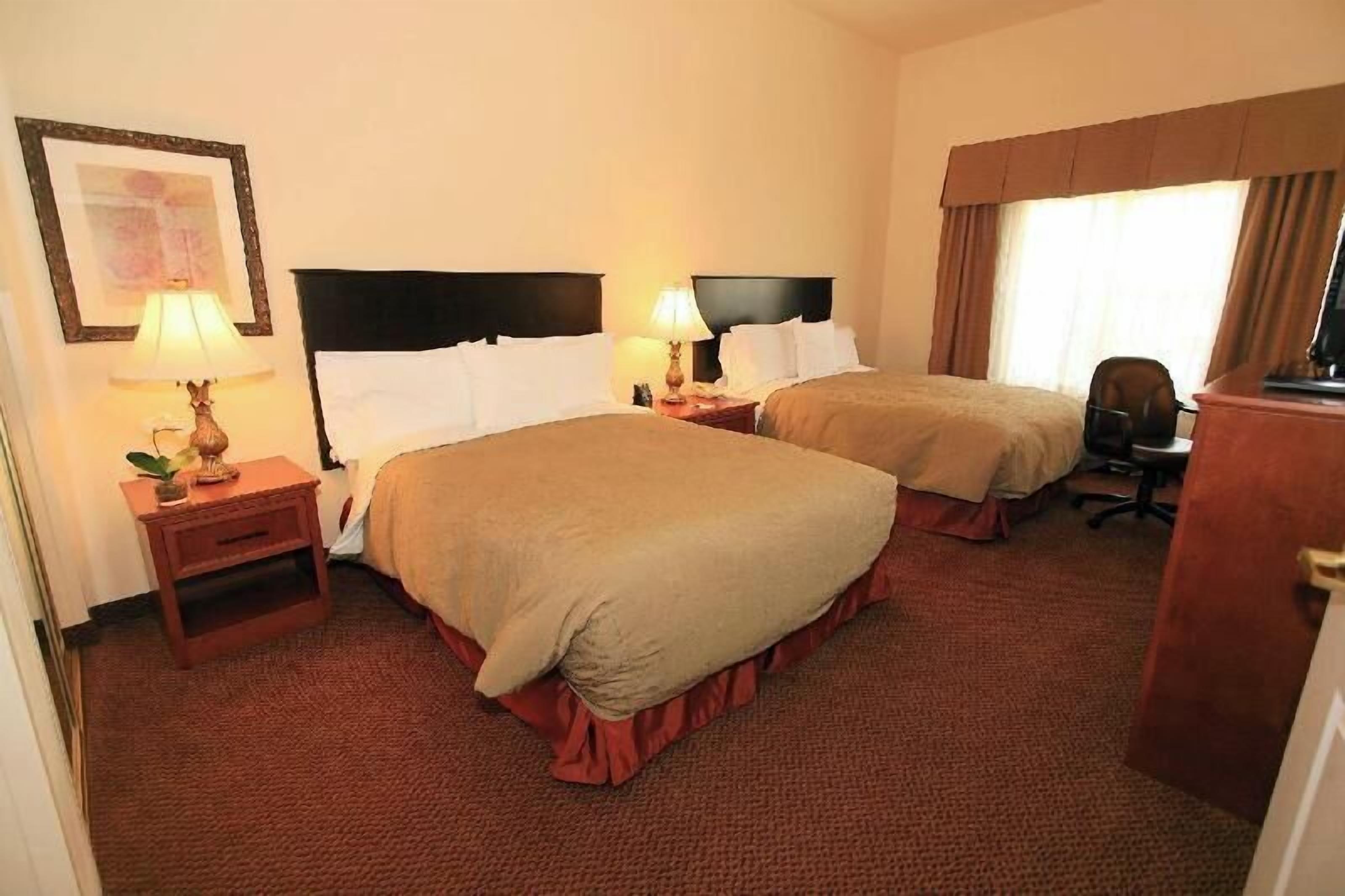 Ropa de cama de alta calidad, escritorio y cortinas blackout 