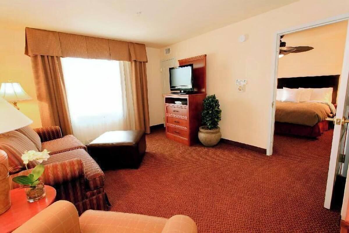 Una habitación de hotel con un sofá, un televisor sobre un mueble de madera, una pequeña planta en maceta y una cama con cabecera.