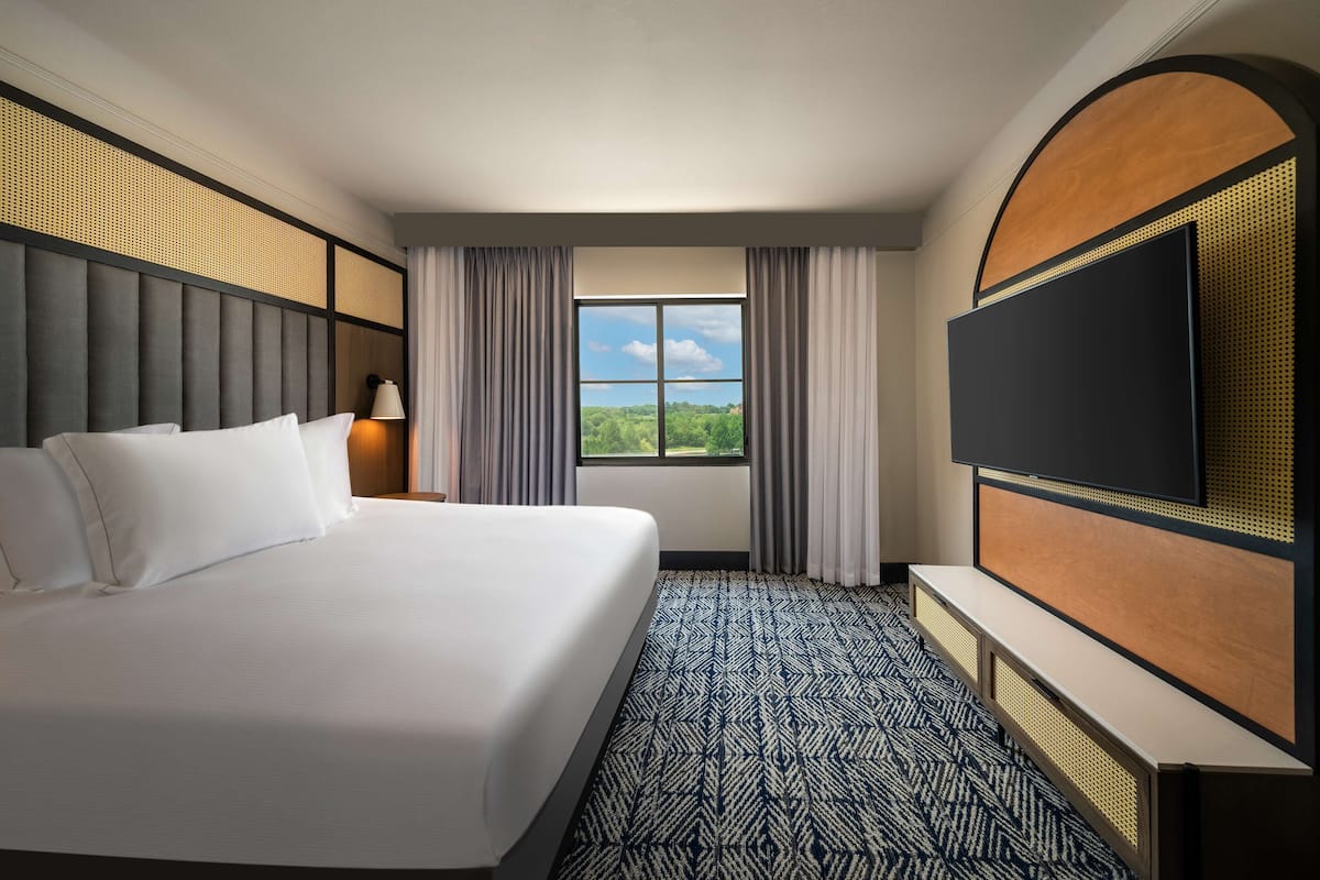 A hotel room with a large bed, a TV, a window with a view of greenery, and a patterned carpet.