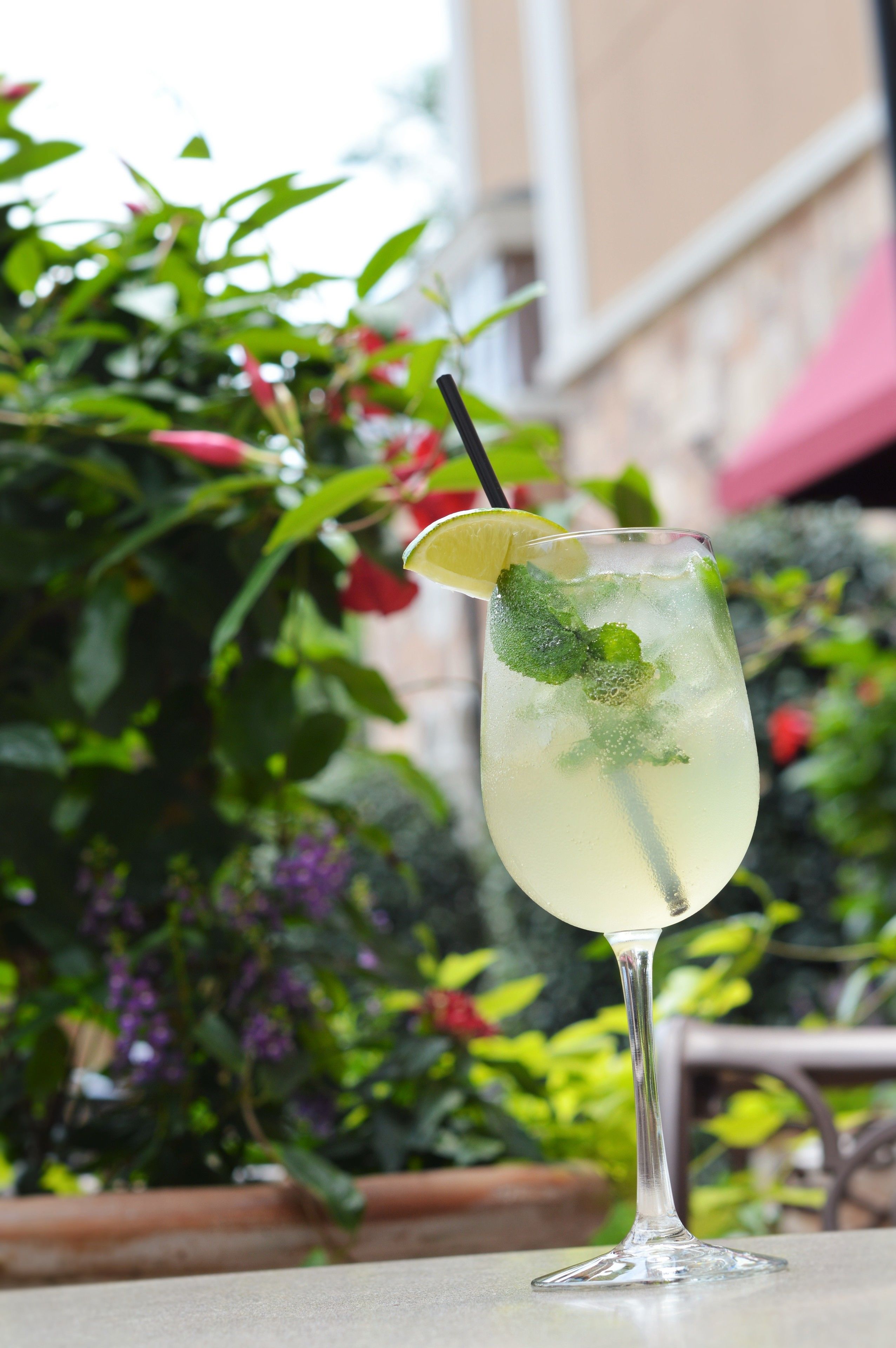 A glass of a light-colored beverage with a lemon slice and mint garnish, placed on a table with a blurred background of greenery and a building.