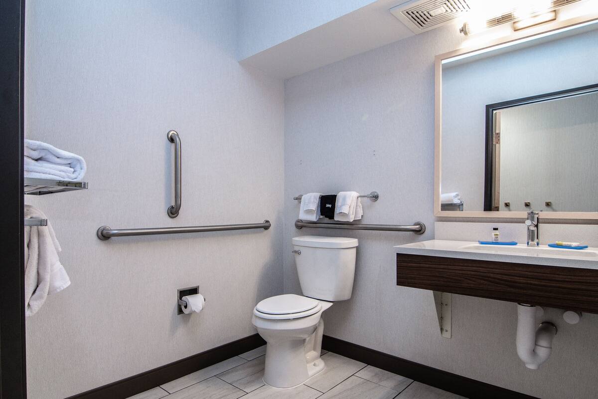 hair dryer, towels, soap, shampoo