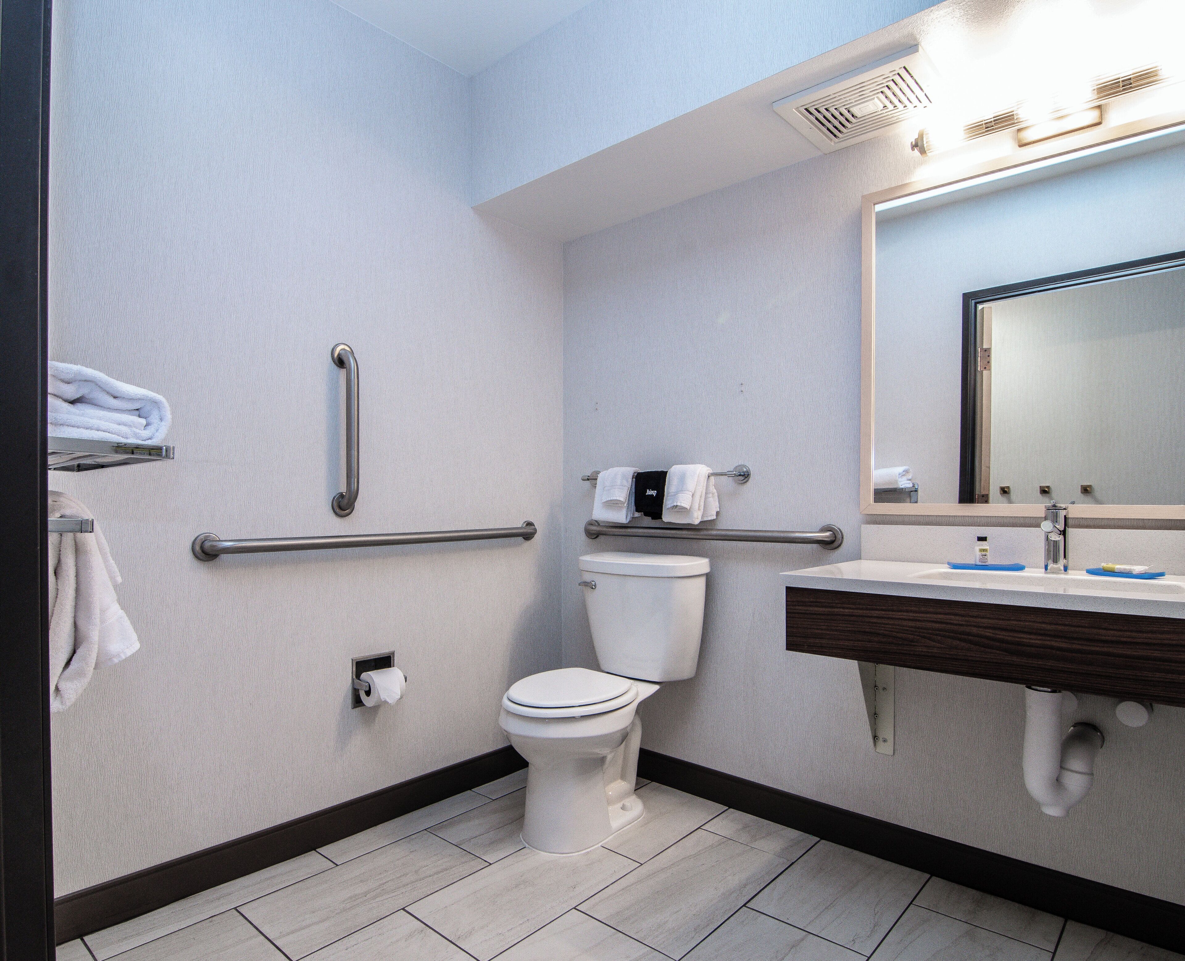 A modern bathroom with a toilet, handrails, a sink, and a mirror.