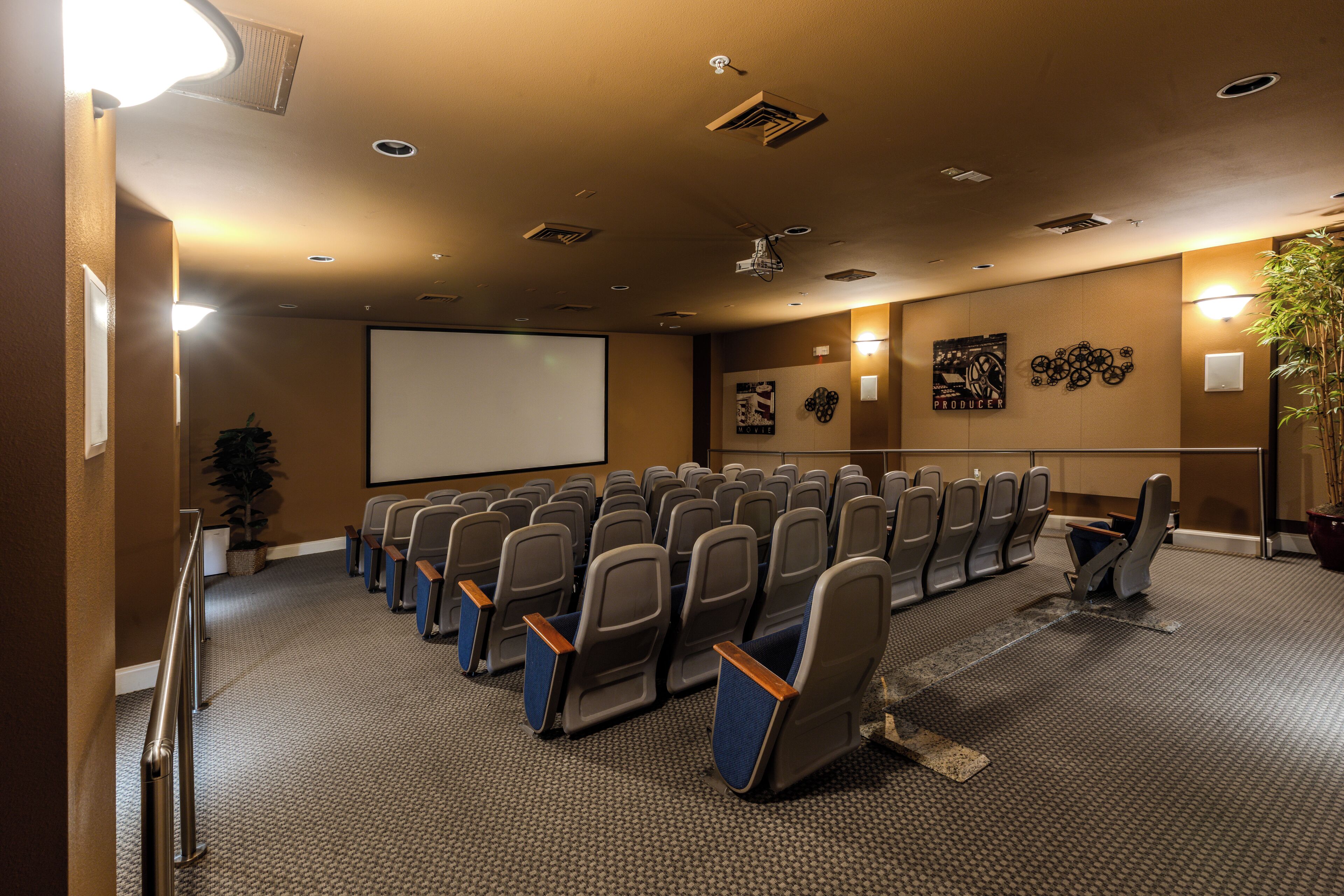 Une salle de conférence avec des rangées de chaises, un écran de projection et une grande plante en pot.