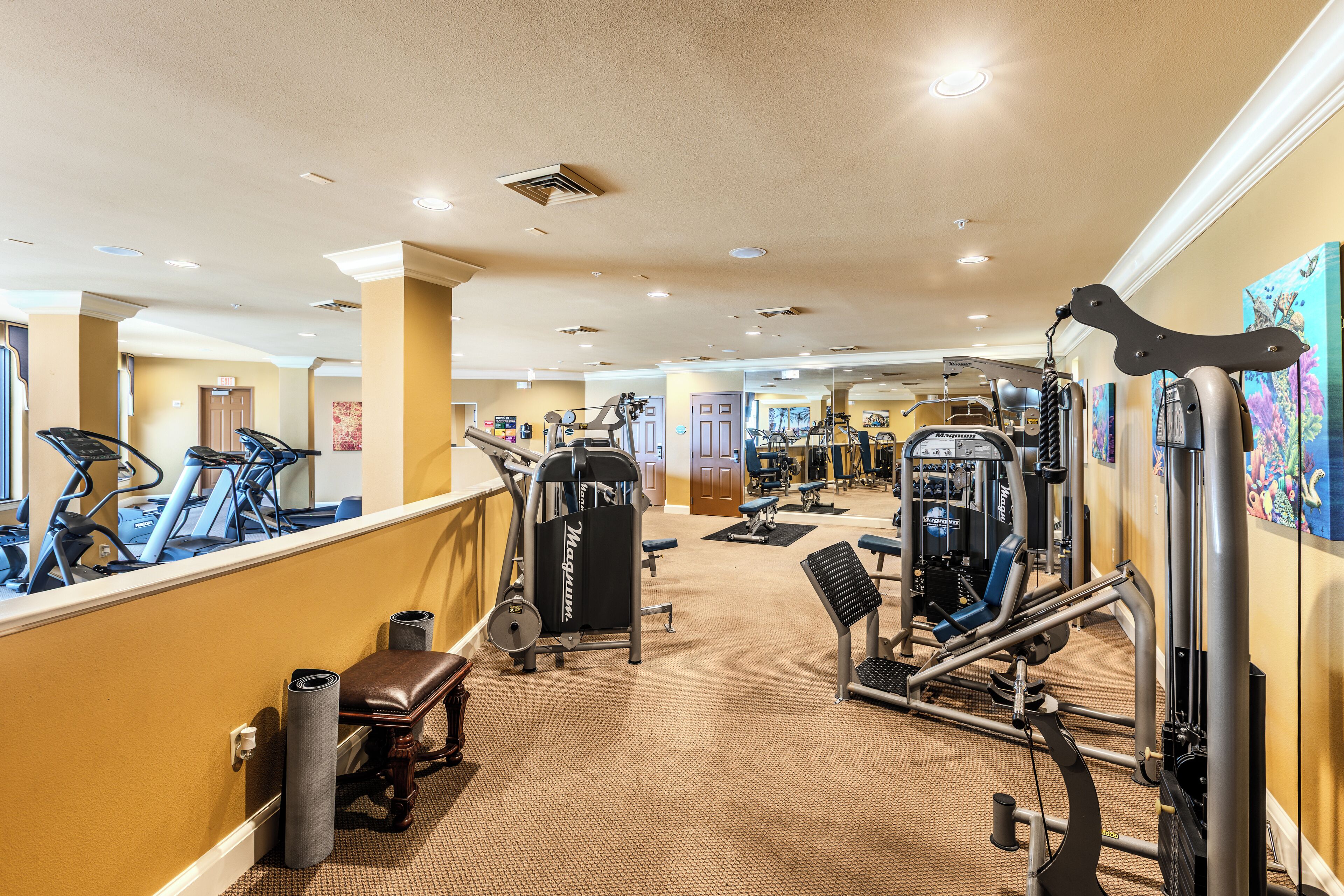 A gym with treadmills, weight machines, and a mirror wall.