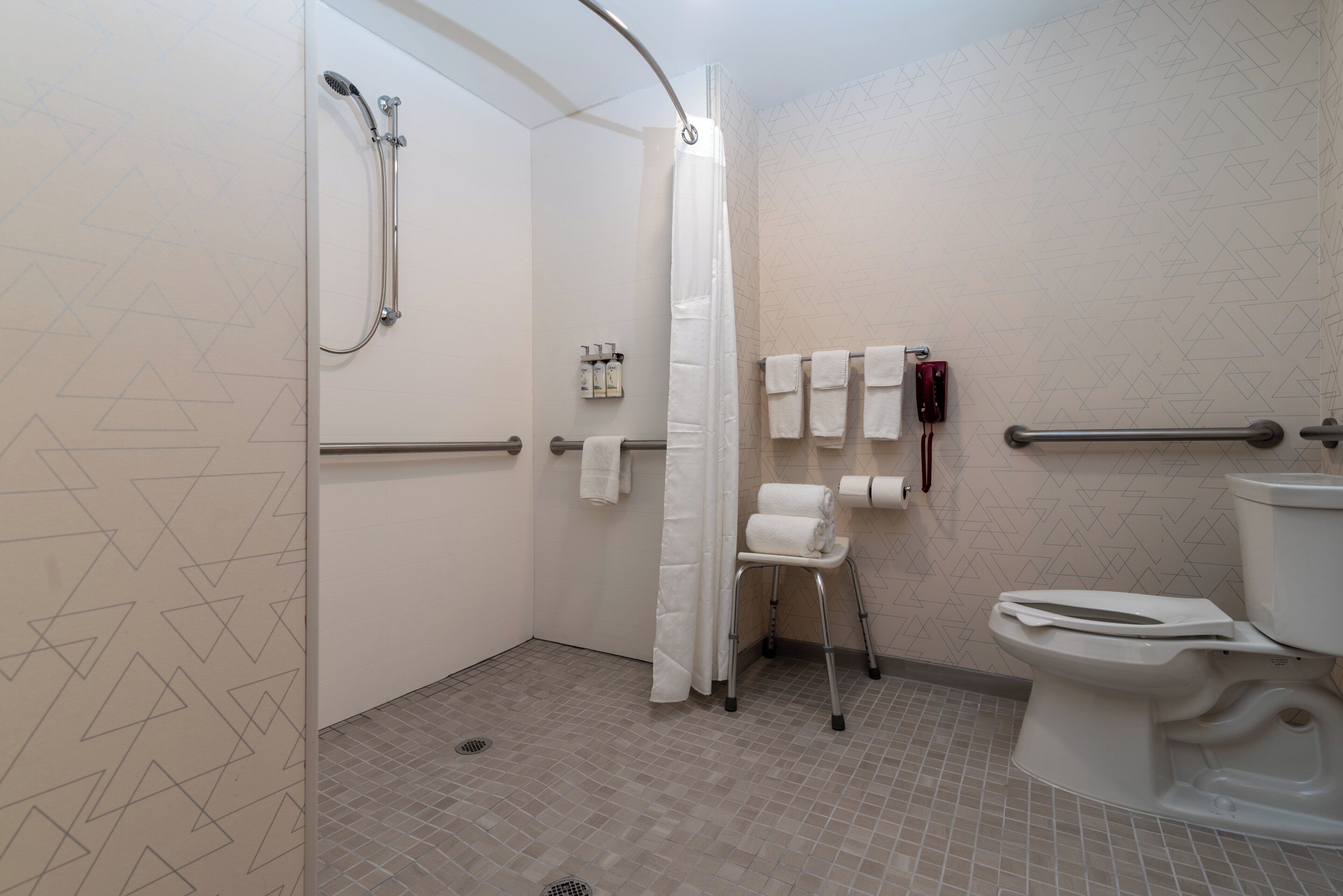 Baño con ducha, inodoro y barras de apoyo.