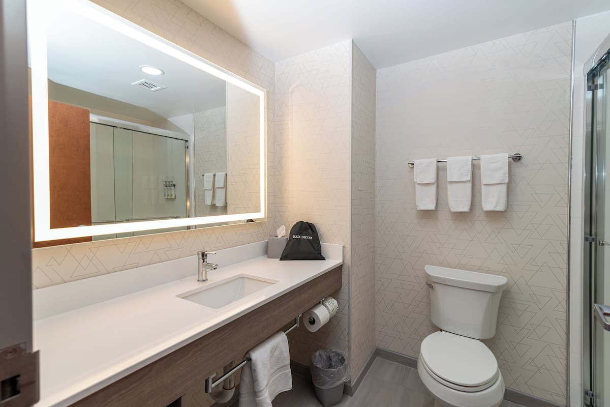 A modern bathroom with a large mirror, dual sinks, a toilet, and a shower area.