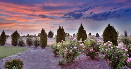 Holiday Inn Express & Suites Nampa - Idaho Center by IHG
