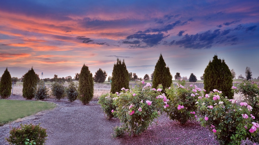 Holiday Inn Express & Suites Nampa - Idaho Center by IHG