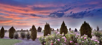 Holiday Inn Express & Suites Nampa - Idaho Center by IHG