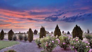 A garden with neatly trimmed hedges and flowering plants.