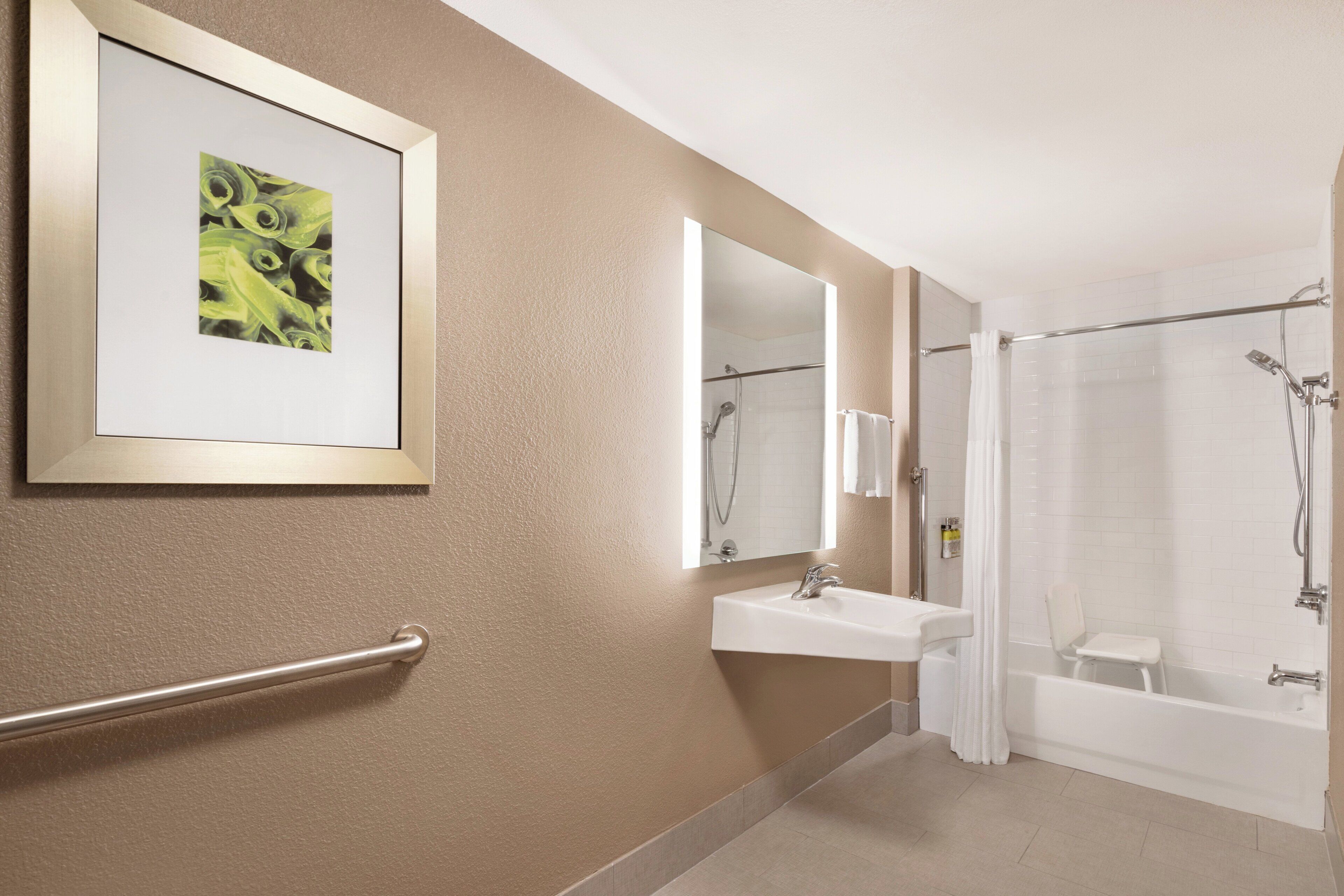 A bathroom with a handrail, sink, mirror, shower, and a framed picture on the wall.