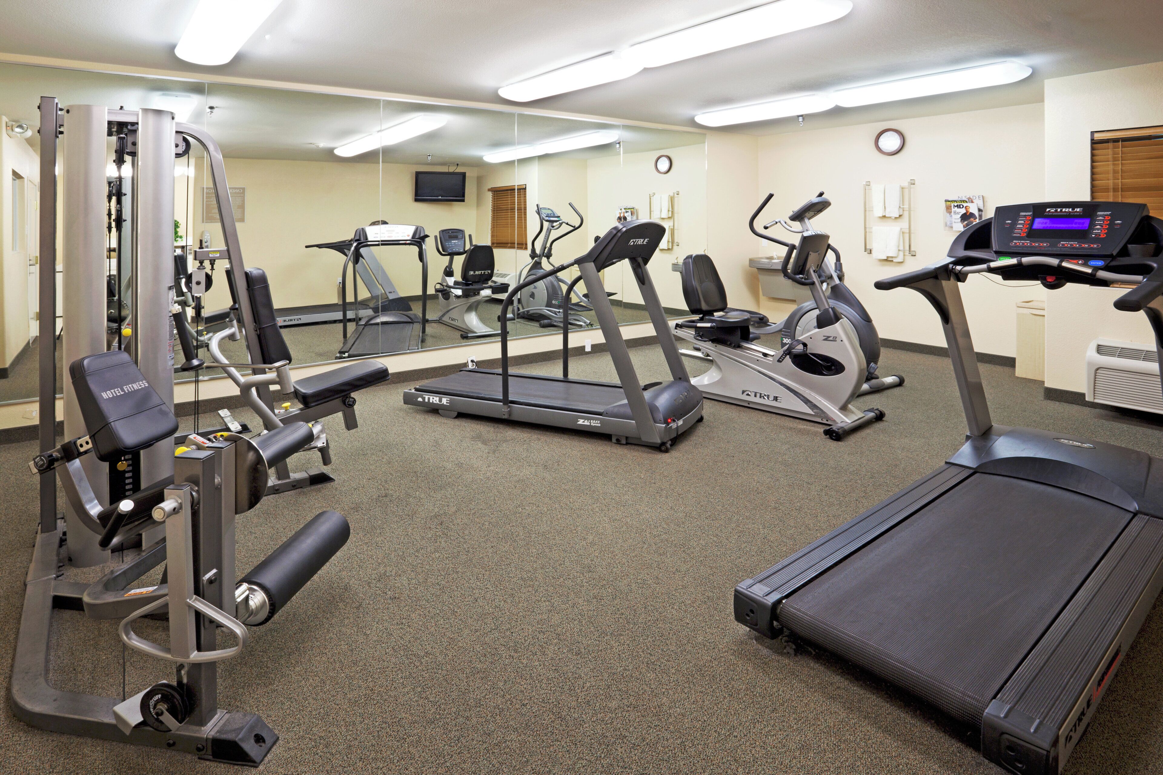 A gym with various exercise equipment including treadmills, elliptical machines, and weight machines.