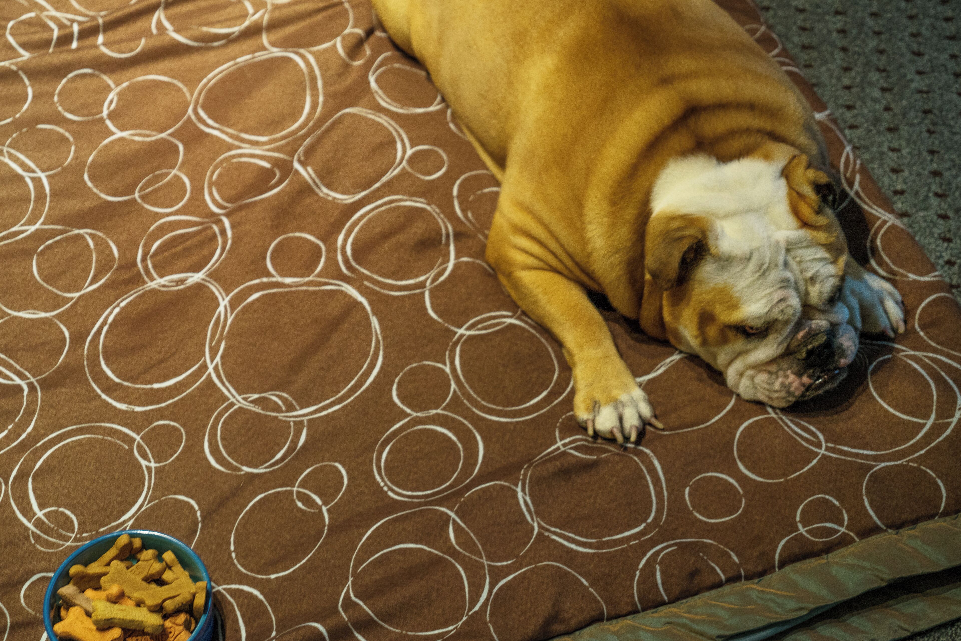 in-room safe, desk, soundproofing, iron/ironing board