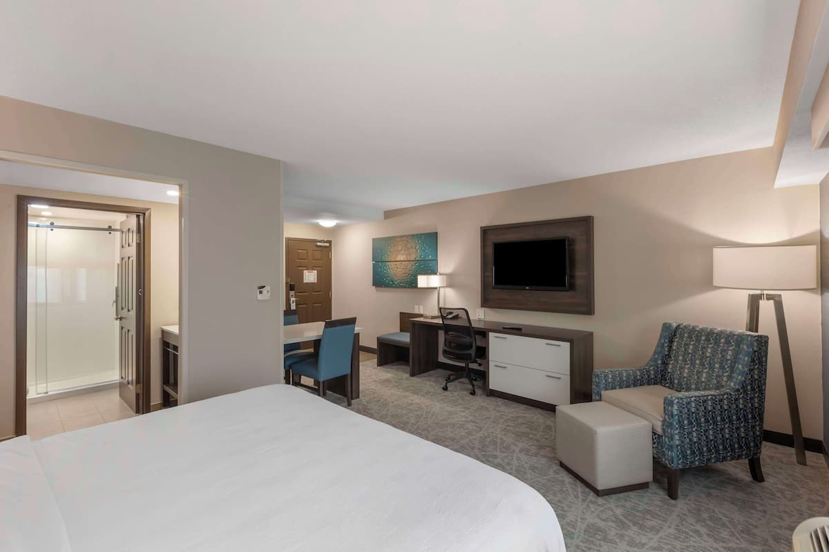 Una habitación de hotel con una cama grande, un escritorio con silla, televisión, lámpara y un sillón estampado.