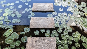 A stone pathway over water with lily pads. - Amalia Hotel Delphi (Delphi)