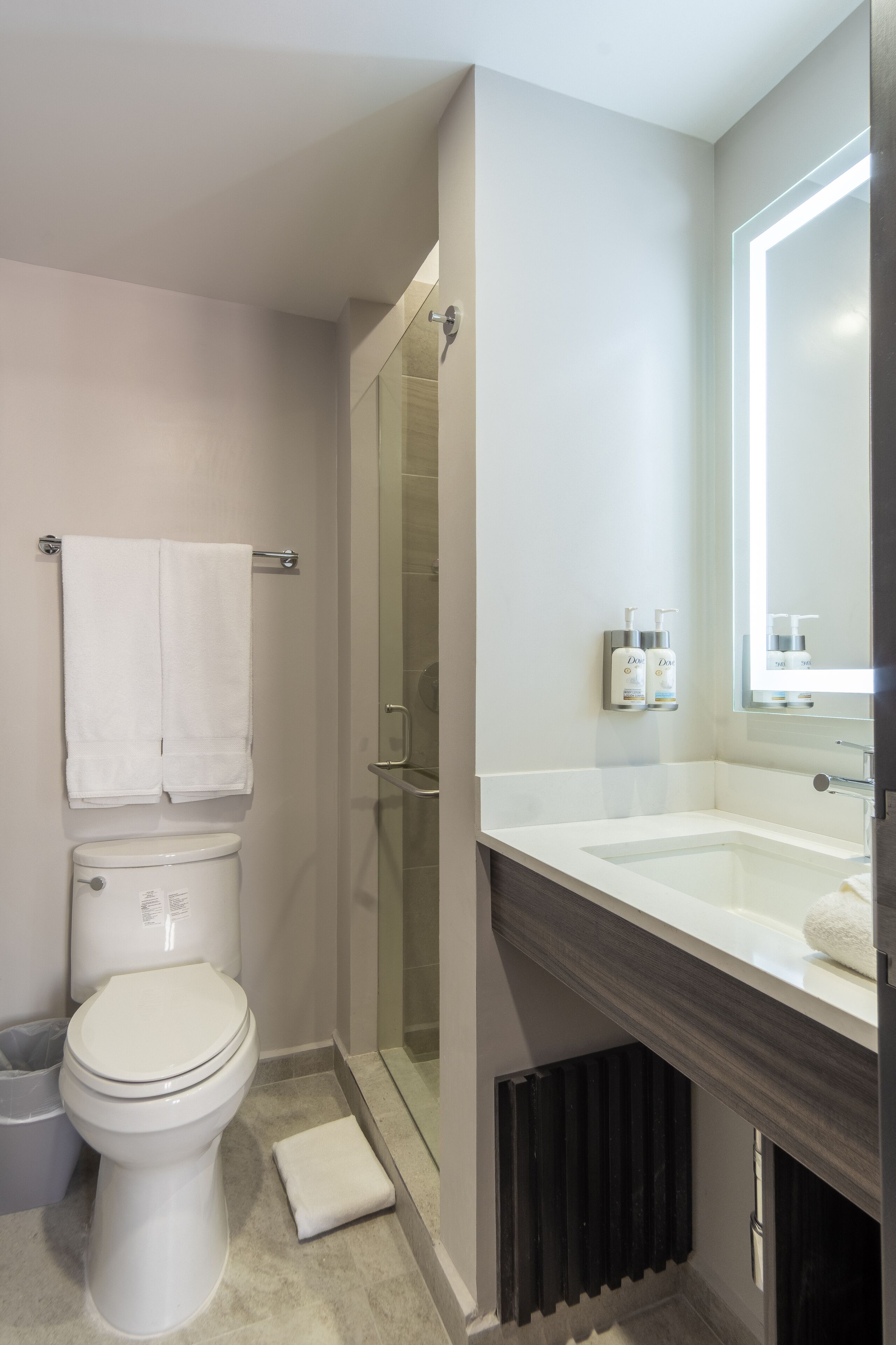 A modern bathroom with a toilet, a shower, and a vanity with a mirror.