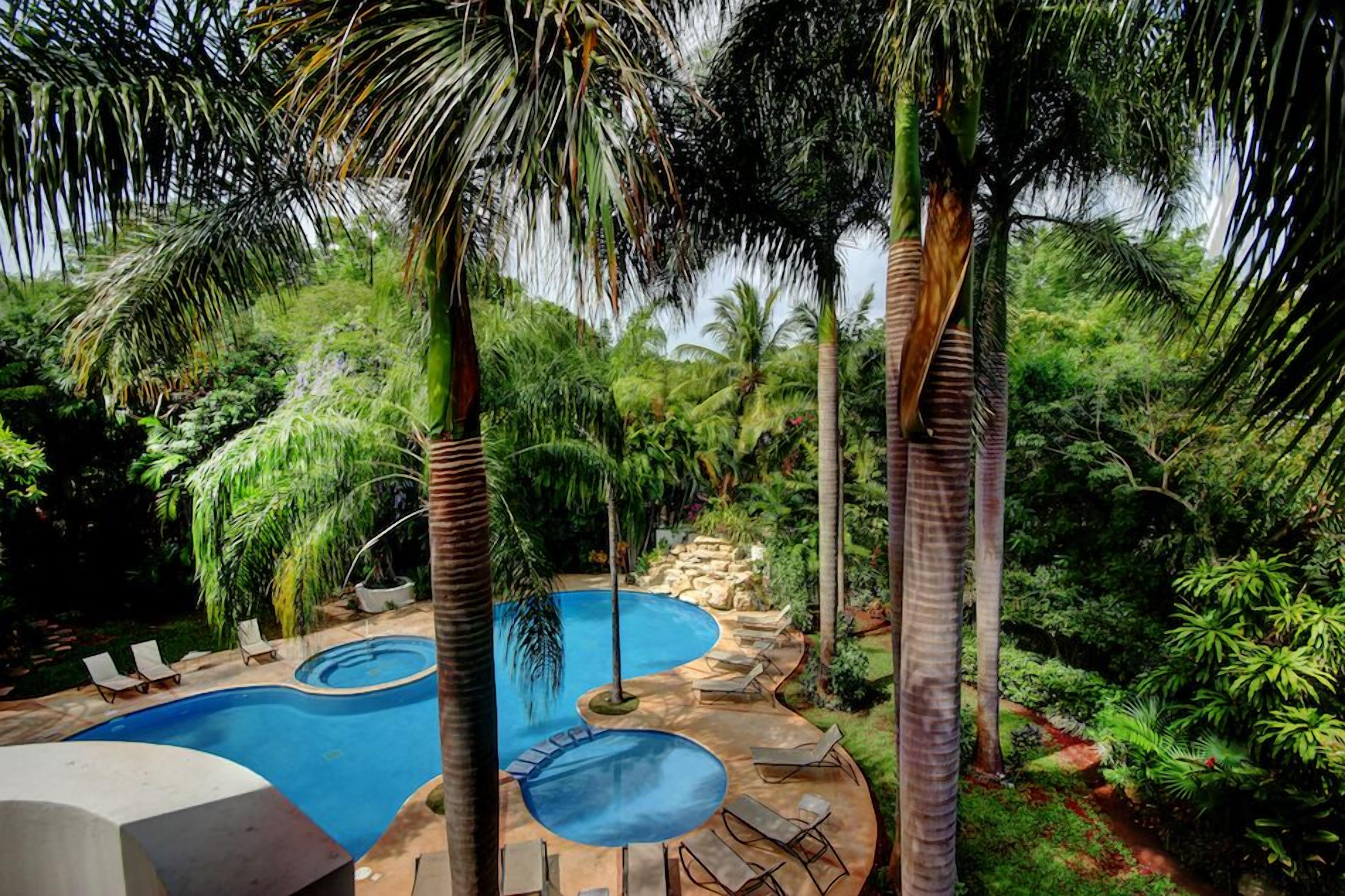 A pool area with multiple swimming pools surrounded by lush greenery and palm trees.