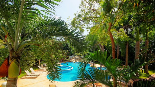 Una piscina rodeada de palmeras y sillas de descanso, con un cielo azul despejado.