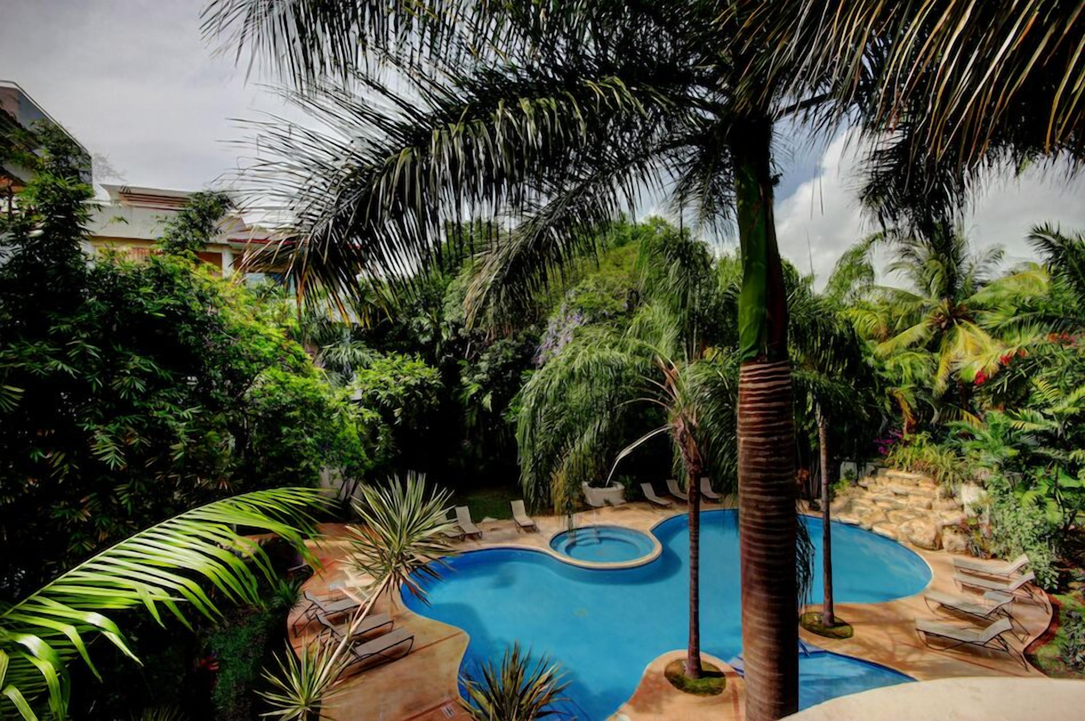 outdoor pool, pool loungers