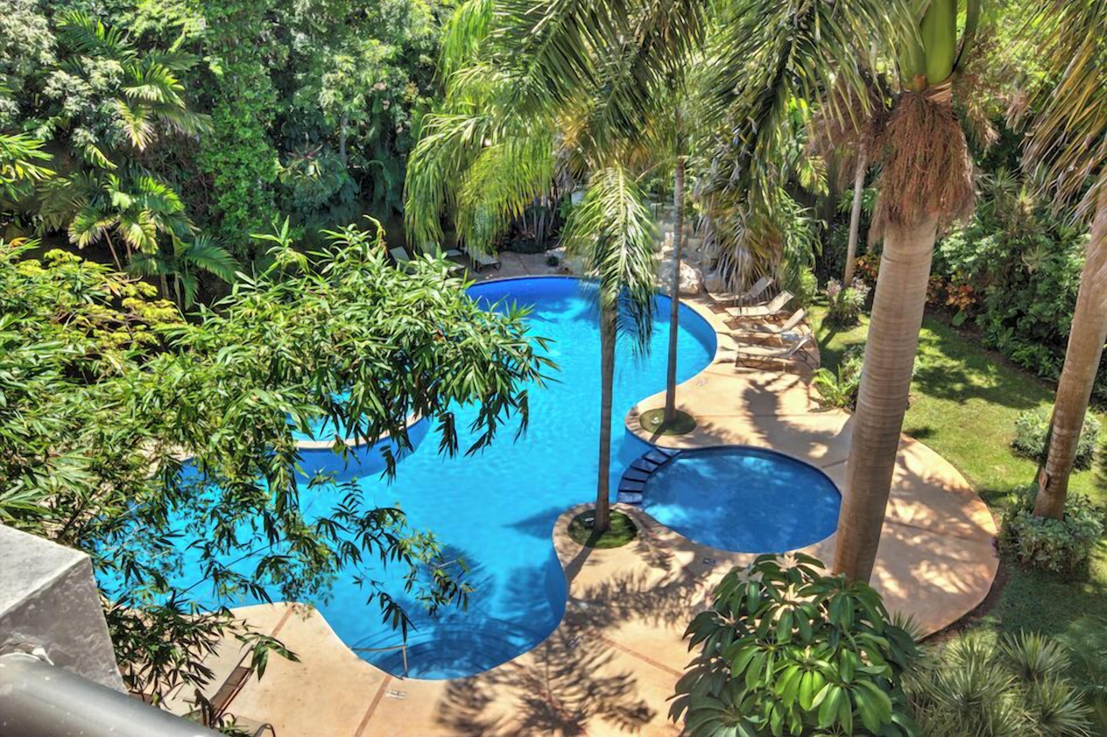 outdoor pool, pool loungers