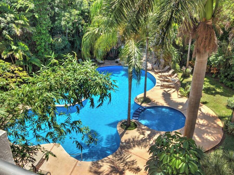 Una piscina rodeada de exuberante vegetación y palmeras.