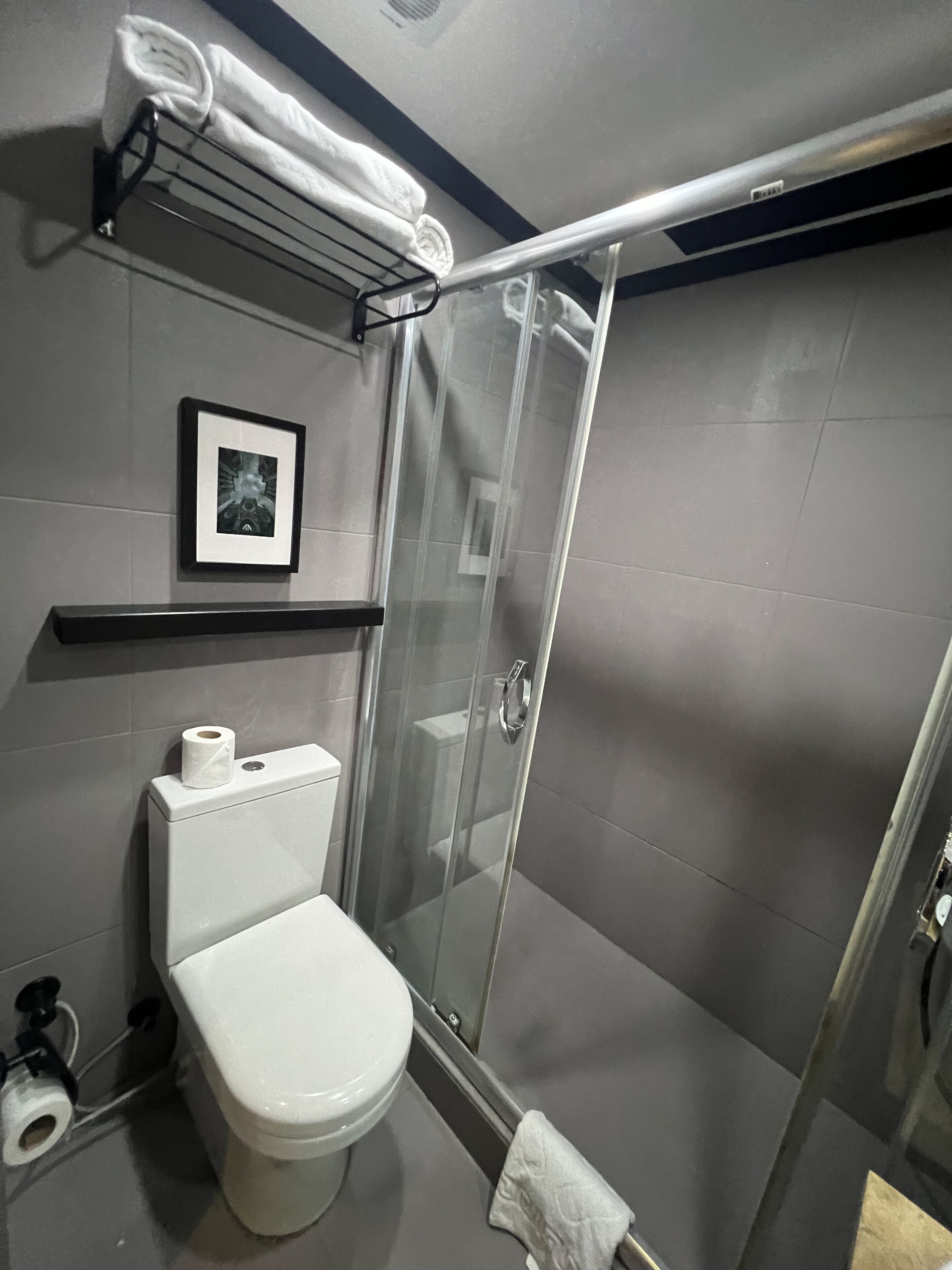 Un baño moderno con inodoro, cabina de ducha de vidrio, toallero con toallas, un cuadro en la pared y dispensador de papel higiénico.