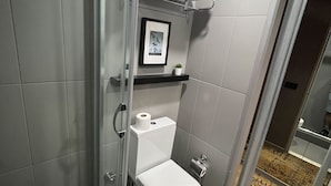 A modern bathroom with a glass-enclosed shower, a toilet, and a shelf with a framed picture and a small plant. - All Seasons Hotel (Istanbul)