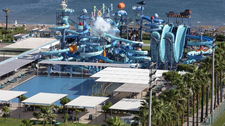 Nirvana Cosmopolitan