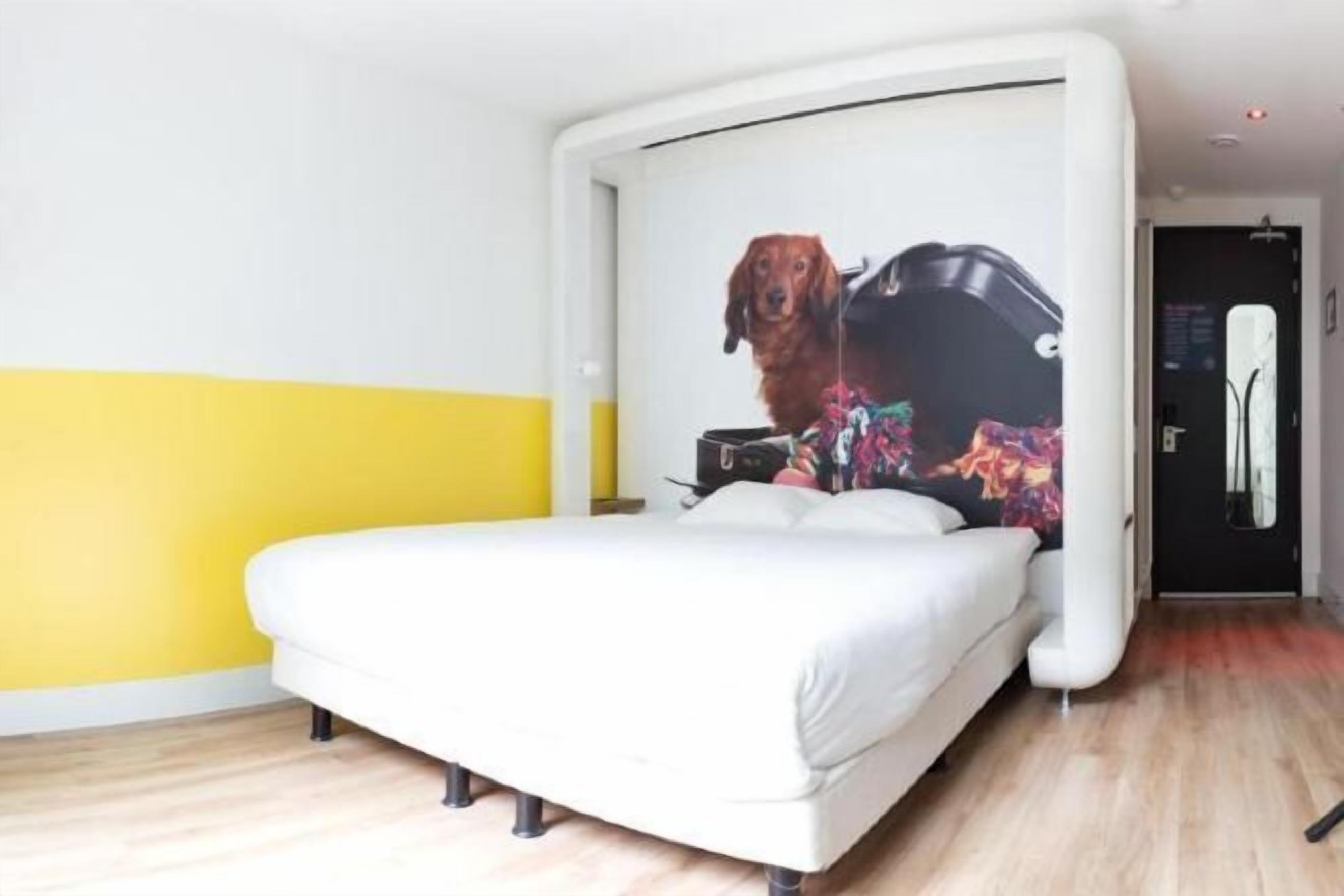 Premium bedding, in-room safe, desk, blackout drapes