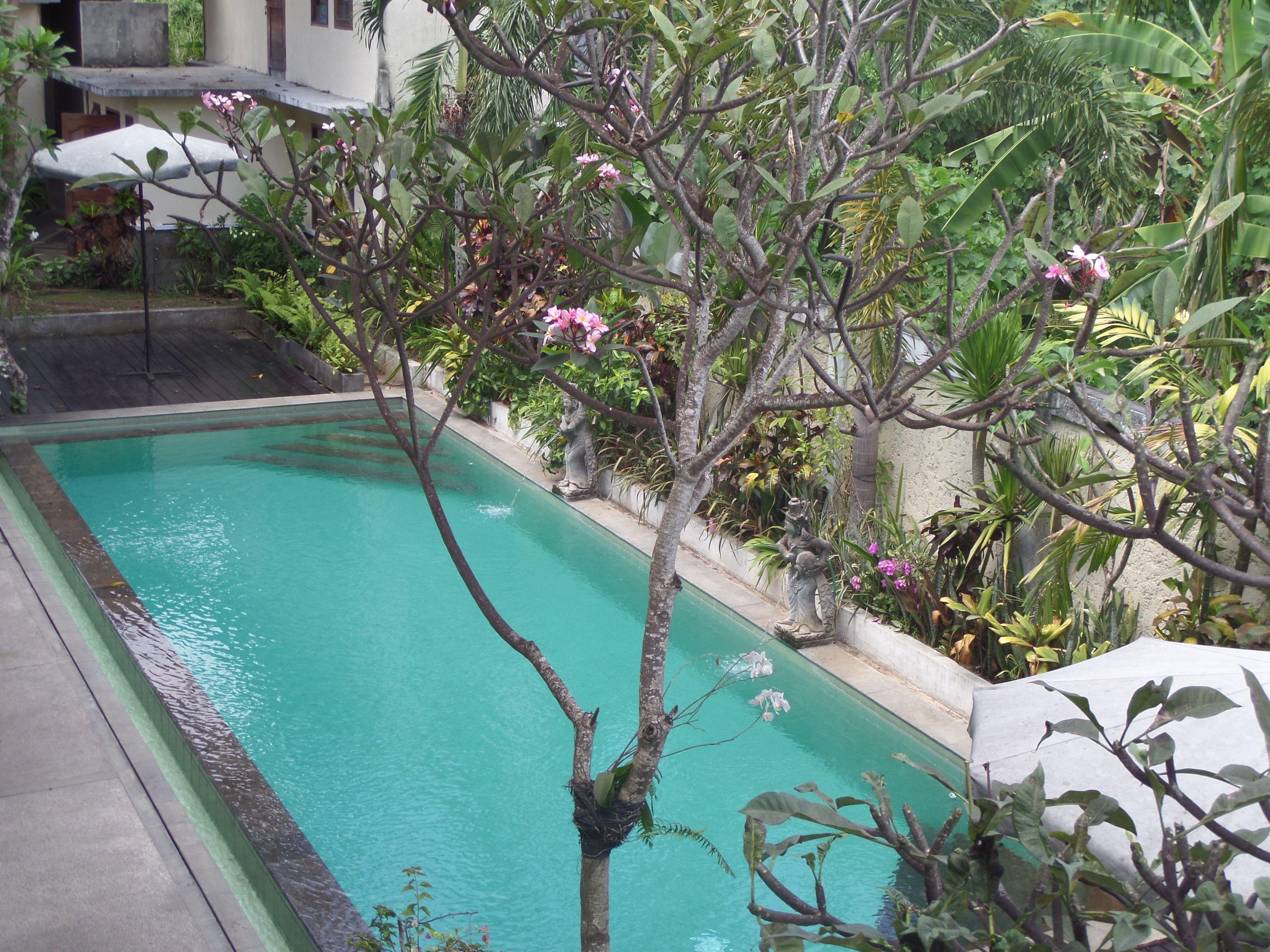 A swimming pool with a clear blue water, surrounded by lush greenery and a statue.