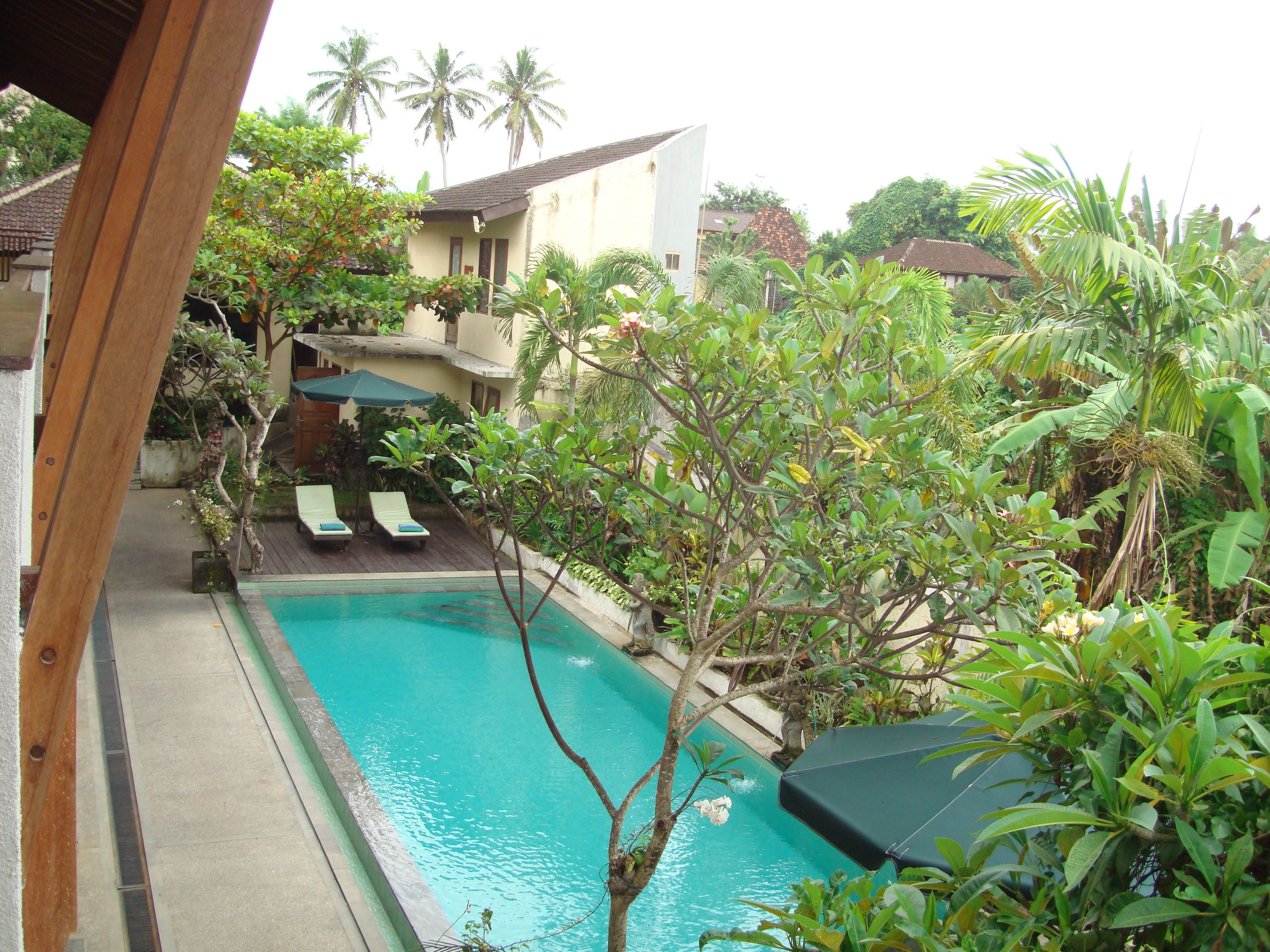 A swimming pool surrounded by lush greenery and a few lounge chairs.