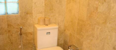 A bathroom with a toilet, a shower, and a marble wall.
