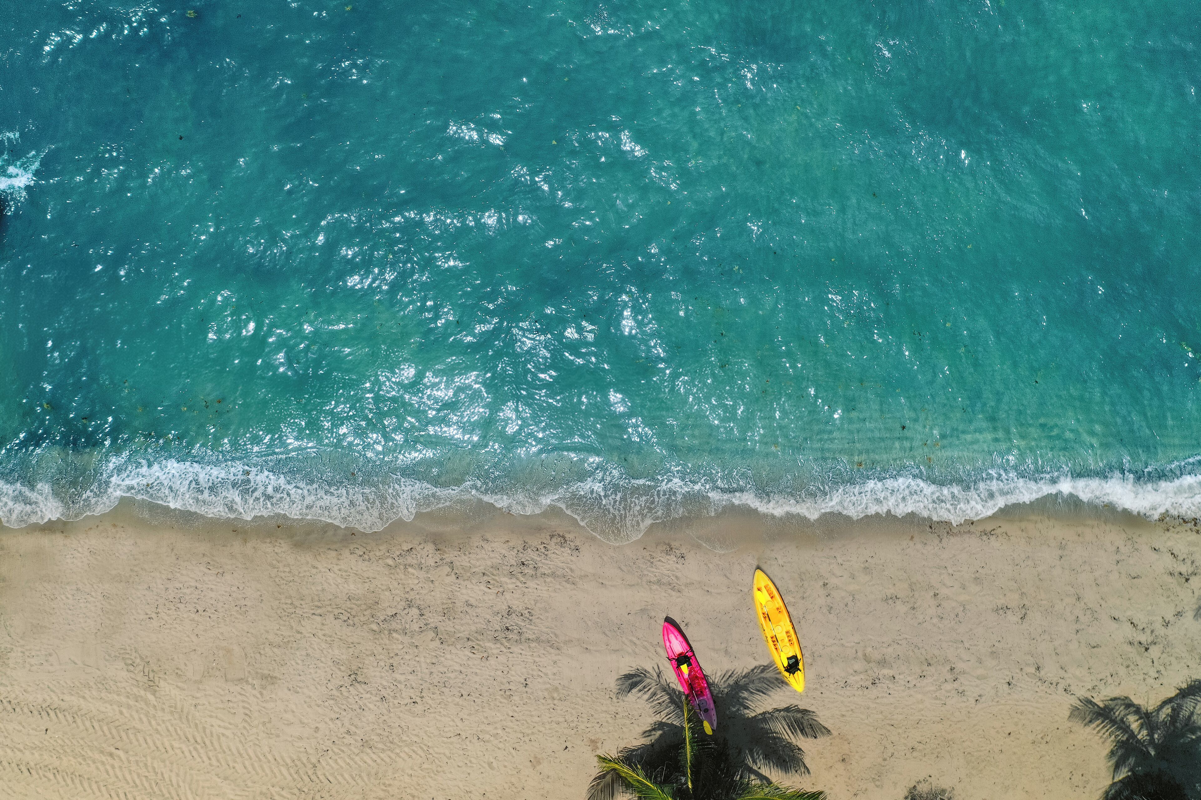 A beach with two surfboards and palm trees.