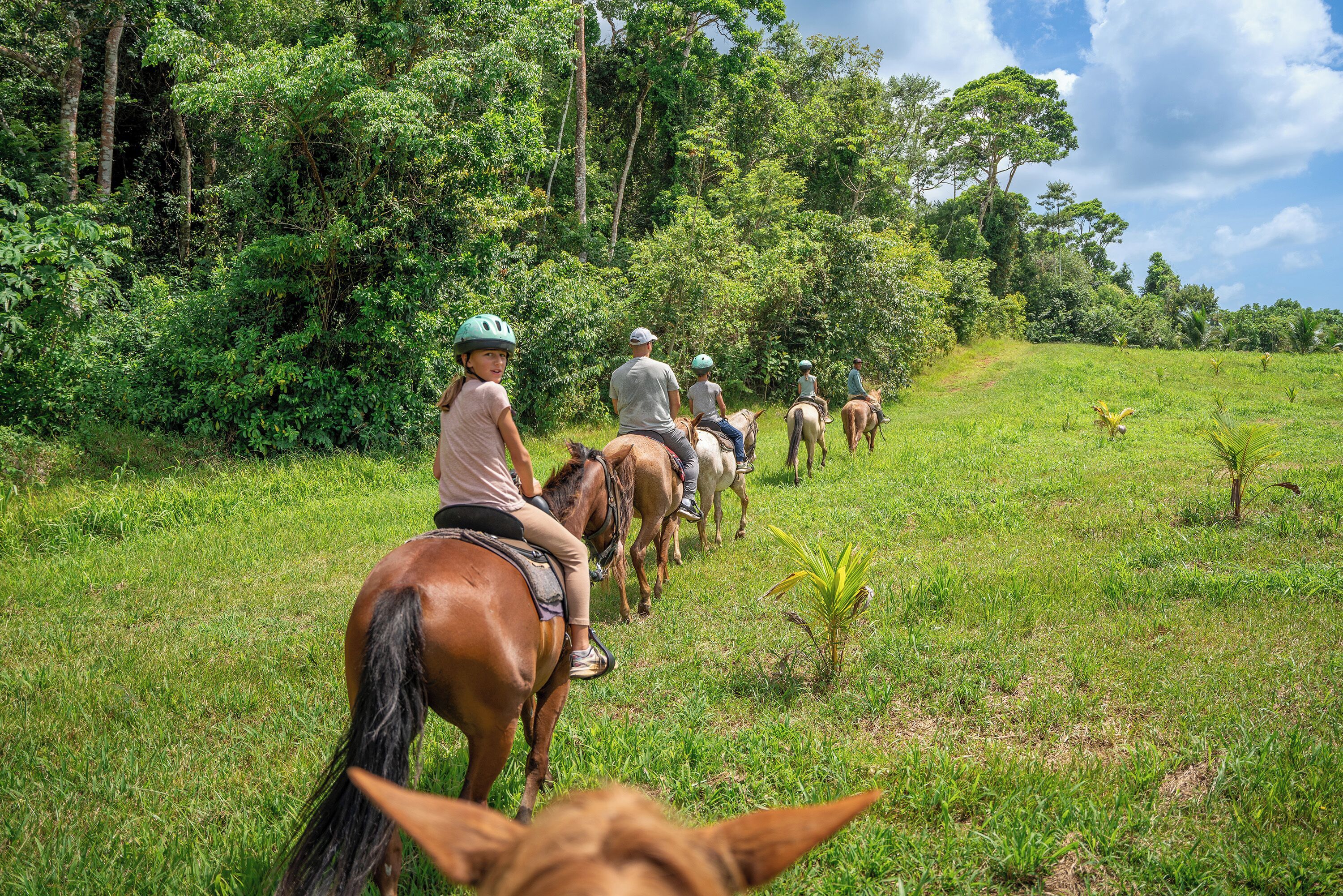 A group of people riding horses on a grassy path surrounded by trees.