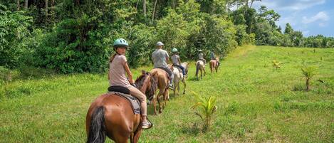 A group of people riding horses on a grassy path surrounded by trees.