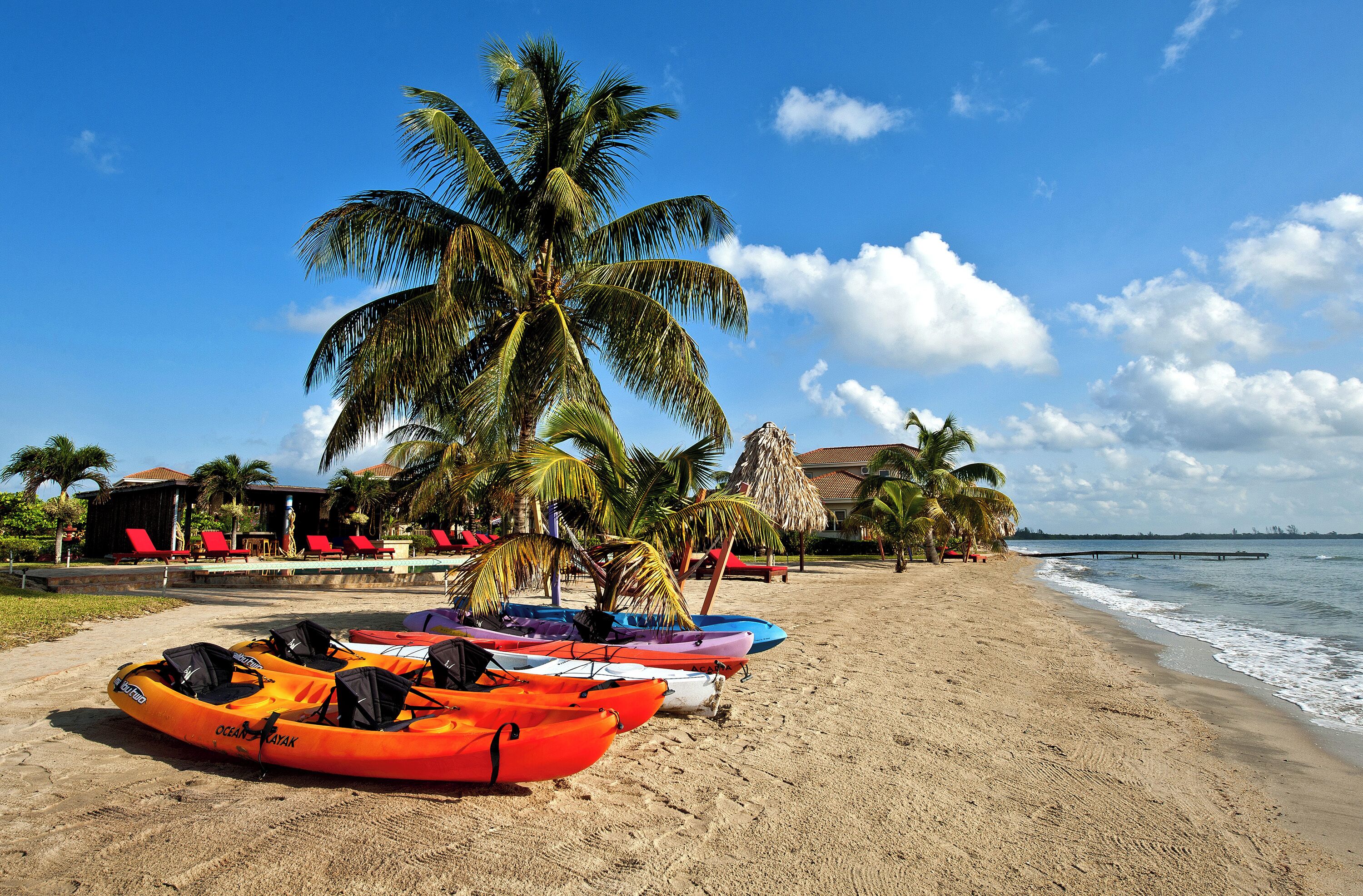 A beach with kayaks, palm trees, and a thatched-roof structure.