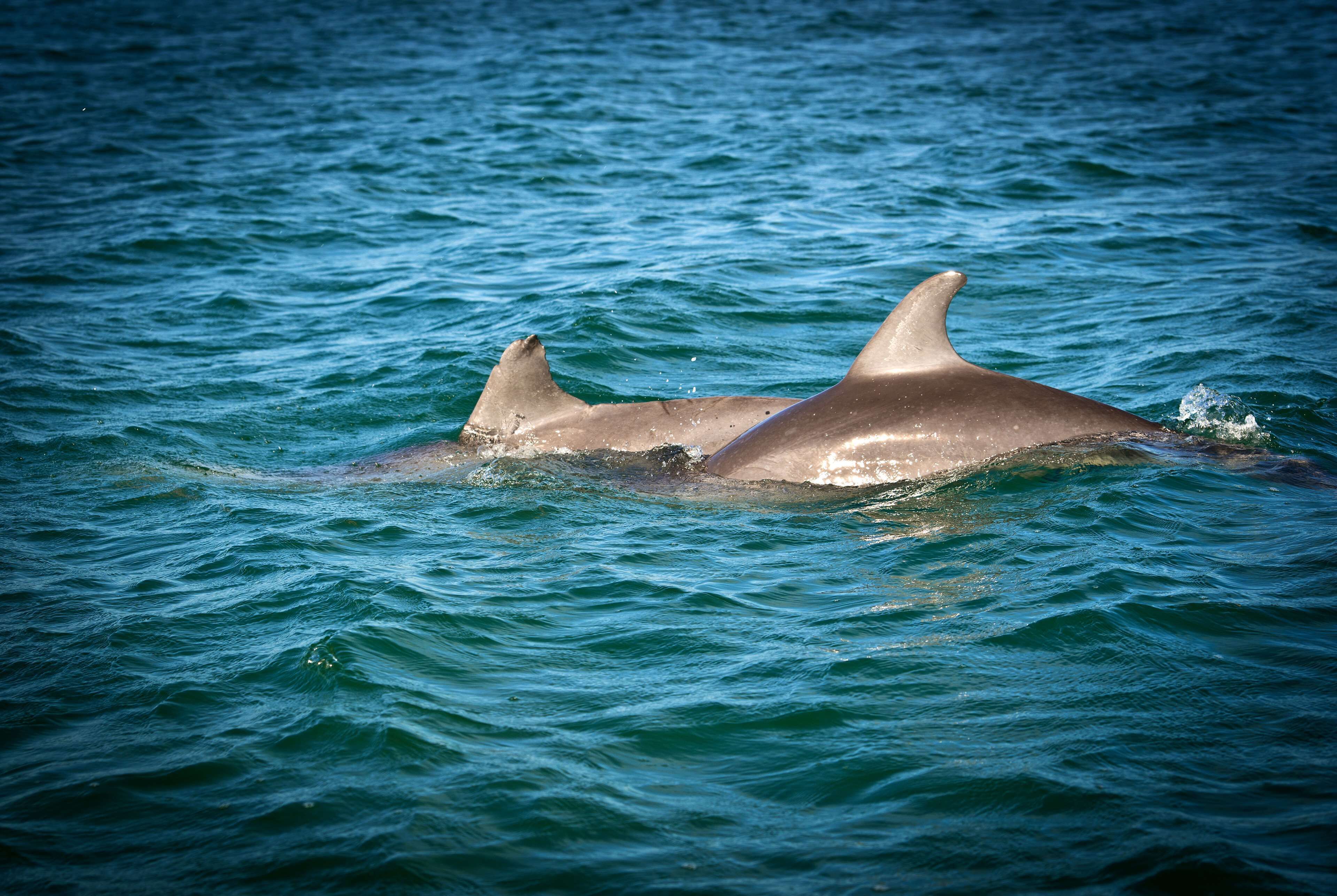 on the beach, sun-loungers, beach towels, beach massages