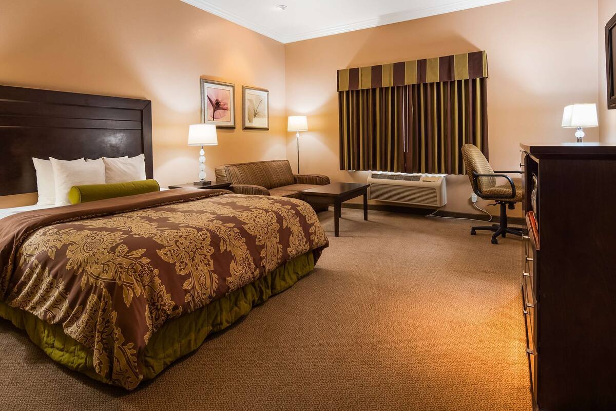 A hotel room with a large bed, a desk, a chair, a TV, and a window with curtains.