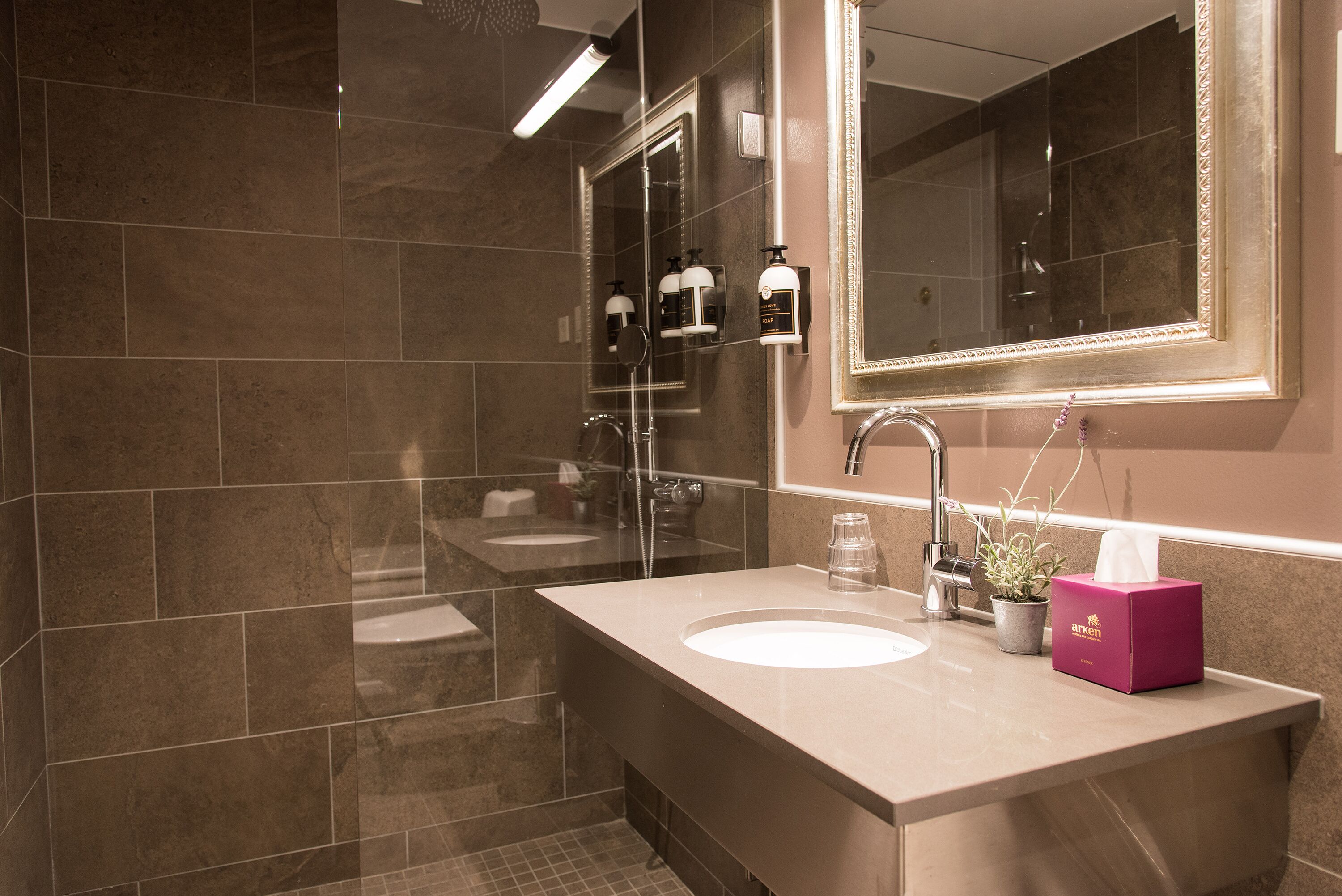 premium double room, 1 bedroom (spa is not included) | bathroom | free toiletries, hair dryer, towels, soap