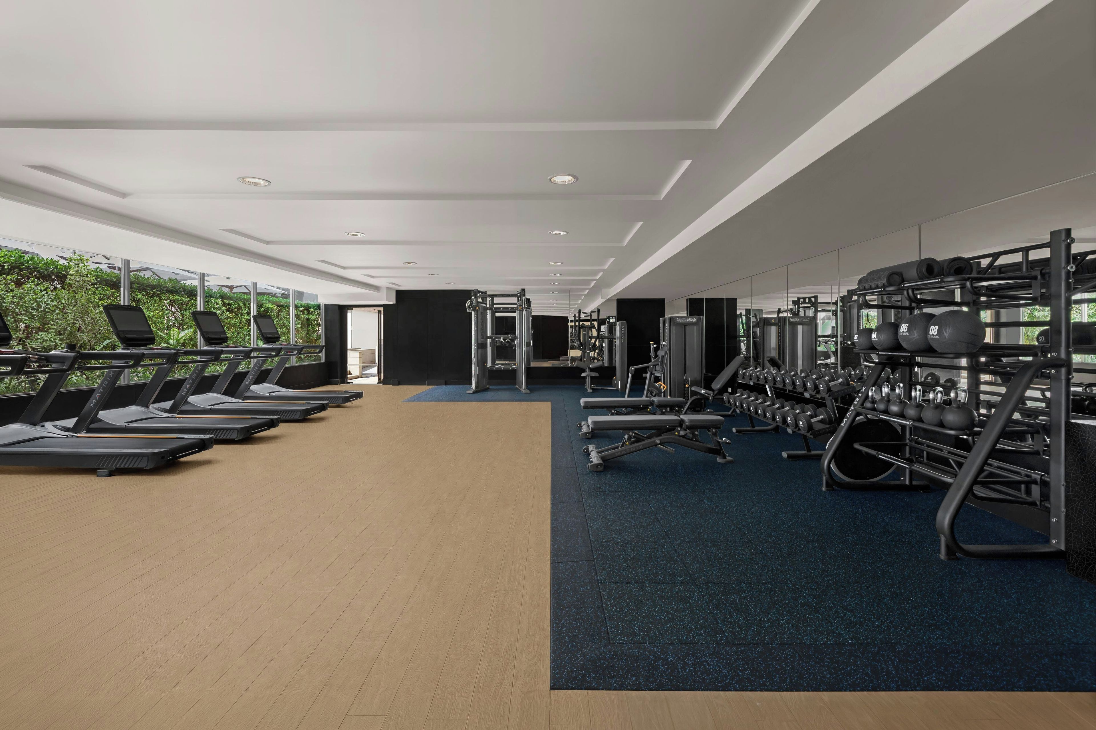 A gym with treadmills, weight machines, and free weights.