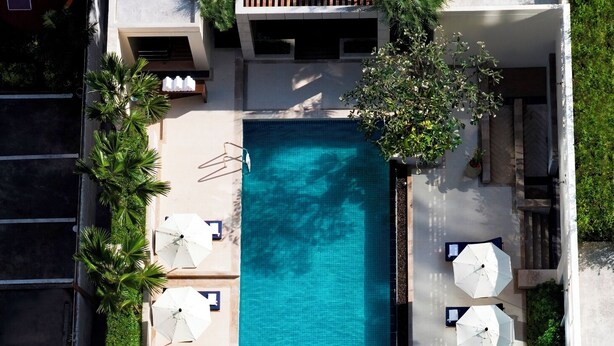 Vista aérea de una piscina rectangular con sillones y sombrillas a ambos lados, rodeada de vegetación.