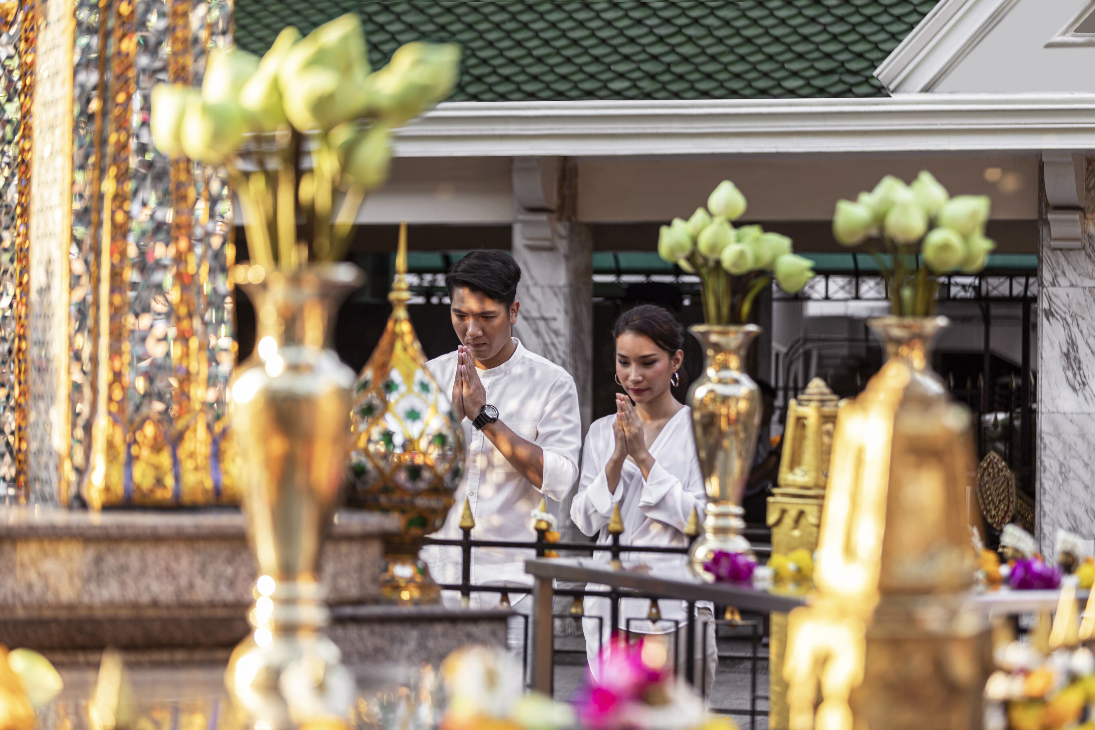 Vistas al campo desde el alojamiento