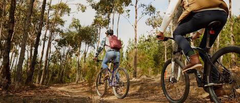 Two people riding bicycles on a dirt path surrounded by trees.
