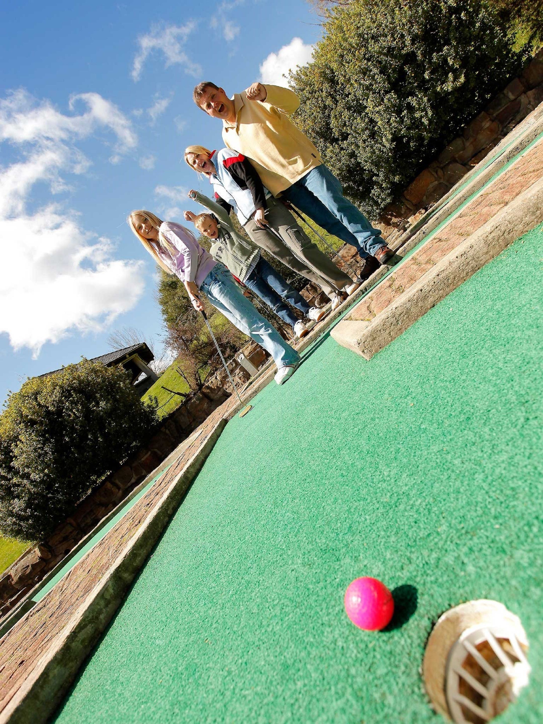 A croquet court with a green playing surface, a pink ball, and a white ball with a netted design.