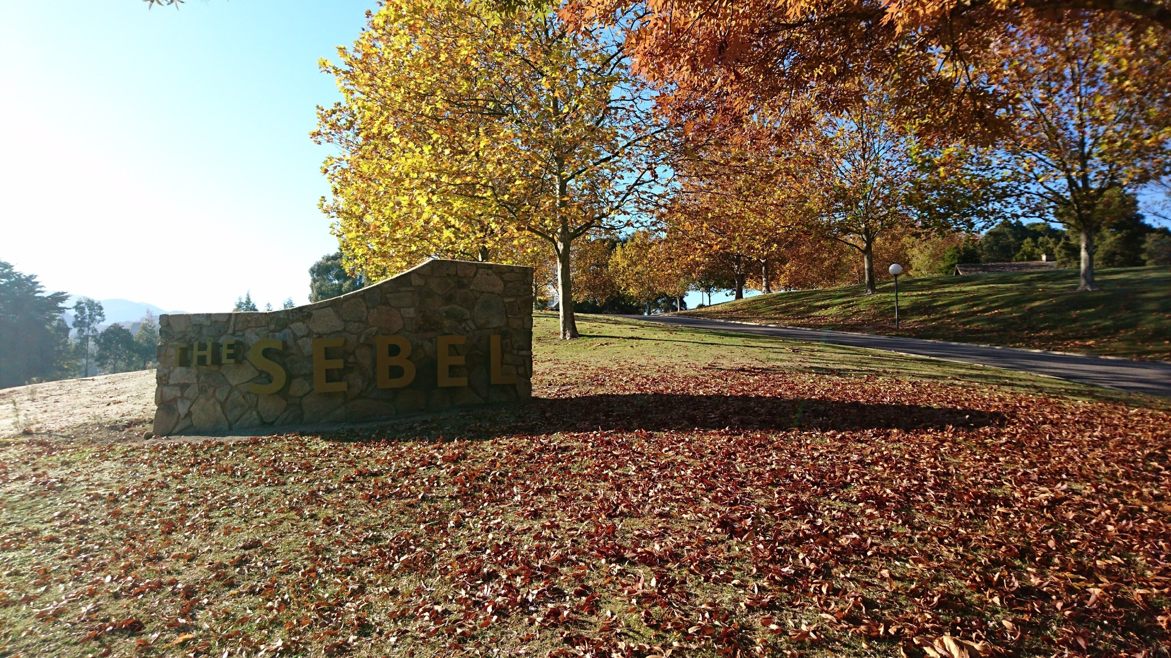 A stone sign with the name "The Seibel" in a park setting with autumn leaves and trees.