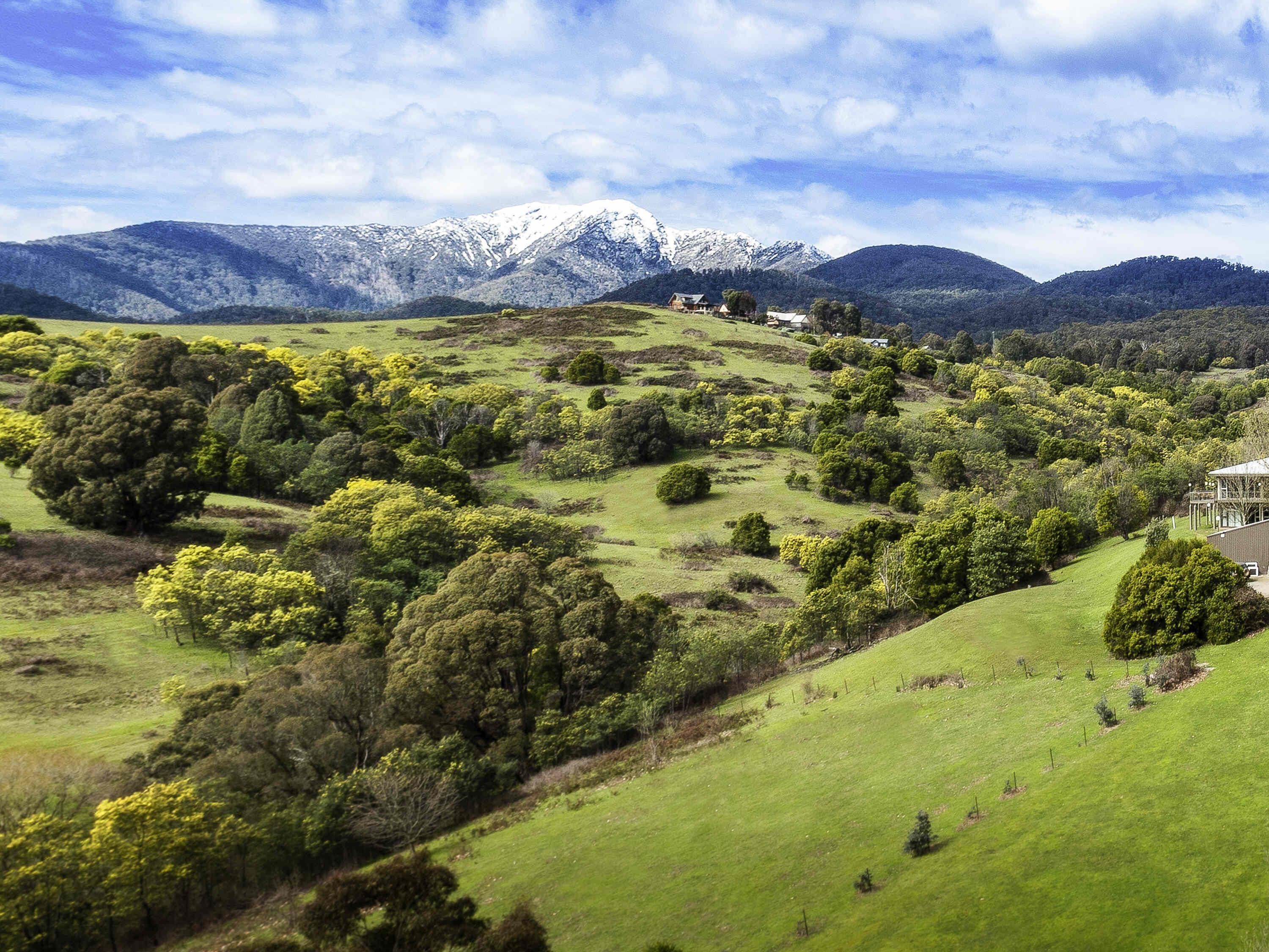 Paisaje rural con colinas ondulantes, árboles dispersos y una cadena montañosa distante.