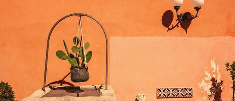 A building with a hanging planter with a cactus, a tiled wall, and a wall-mounted light fixture.