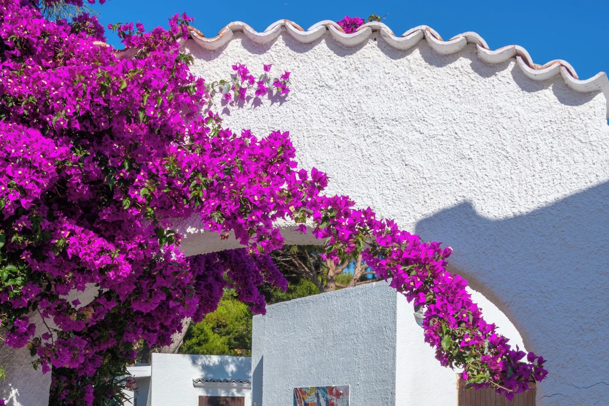 Een pad dat langs een gebouw met witte muren en een muurschildering loopt, omgeven door weelderige begroeiing en levendige paarse bougainvillea's.