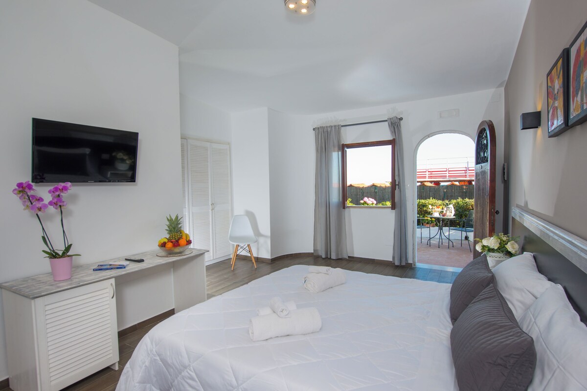 A hotel room with a bed, a desk with a TV, a potted plant, and a view of the outside.
